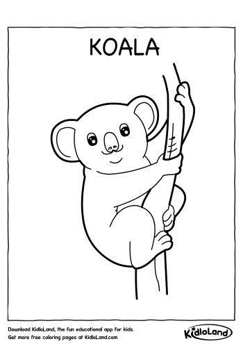 Download Free Koala Coloring Page And Educational Activity Worksheets For Kids Kidloland Com