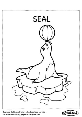 Seal_Coloring_Page_kidloland