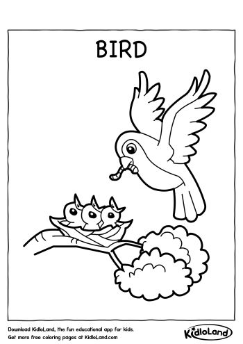 Bird_Coloring_Page_kidloland