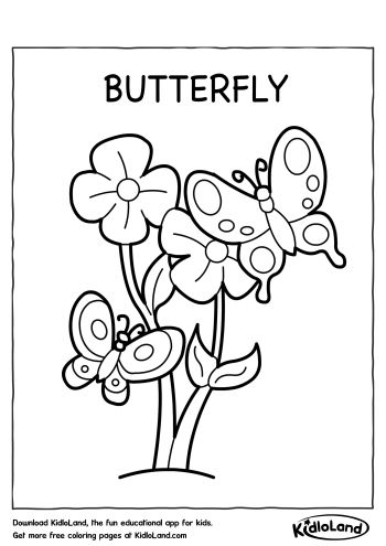 Butterfly_Coloring_Page_kidloland