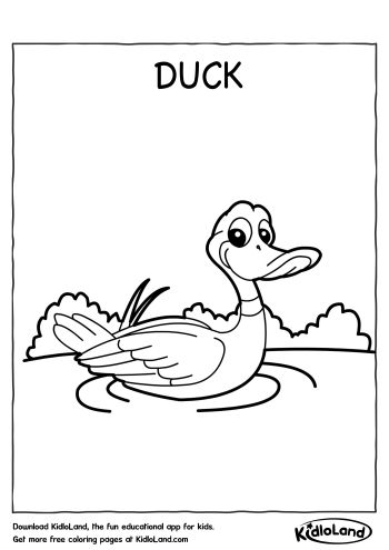 Duck_Coloring_Page_kidloland