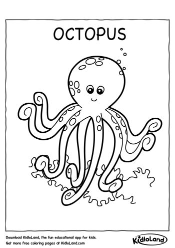 Download Free Octopus Coloring Page and educational activity worksheets