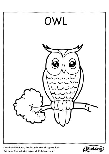 owl kindergarten worksheet