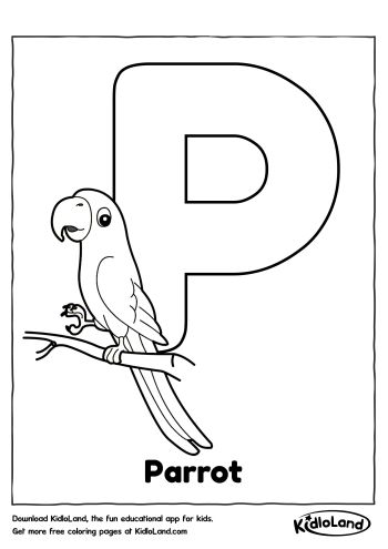 Birds Coloring Pages  Free Printables For Your Kids  KidloLand