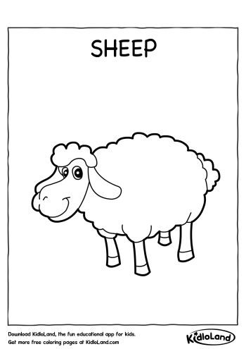 Sheep_Coloring_Page_kidloland