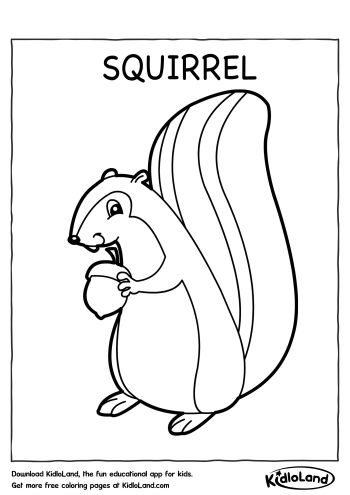 Squirrel_Coloring_Page_kidloland