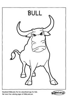 Bull_Coloring_Page_kidloland
