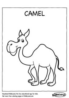 Camel_Coloring_Page_kidloland