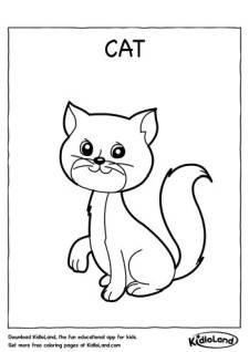 Cat Coloring Page