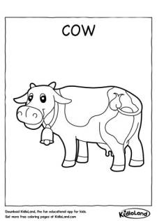 Cow Coloring Page