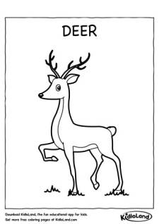 Deer Coloring Page