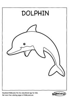 Dolphin Coloring Page