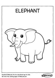 Elephant Coloring Page