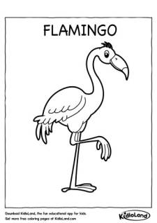 Flamingo Coloring Page