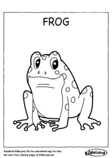 Frog Coloring Page