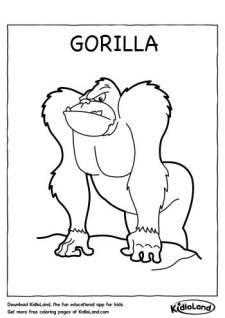 Gorilla Coloring Page