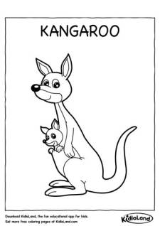 Kangaroo Coloring Page