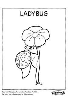Ladybug Coloring Page