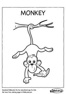 Monkey Coloring Page