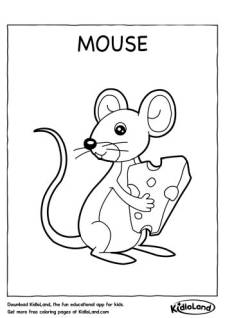 Mouse Coloring Page