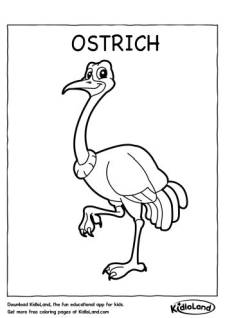 Ostrich_Coloring_Page_kidloland
