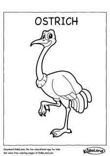 Ostrich Coloring Page