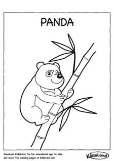 Panda Coloring Page