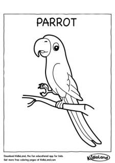 Parrot Coloring Page