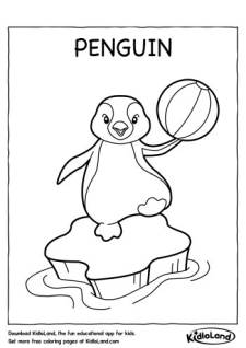 Penguin Coloring Page