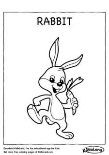 Rabbit Coloring Page