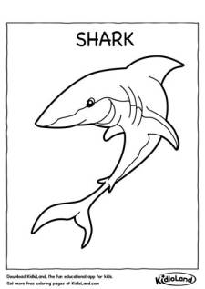 Shark Coloring Page