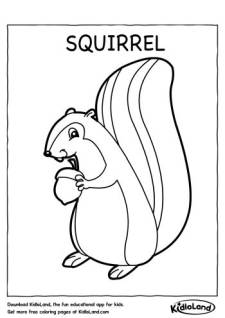 Squirrel Coloring Page