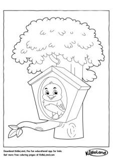 Bird in the House Coloring Page