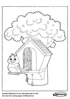 Bird House Coloring Page