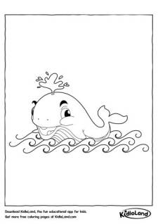 Whale in water Coloring Pages