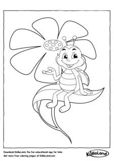 Beetle Coloring Pages